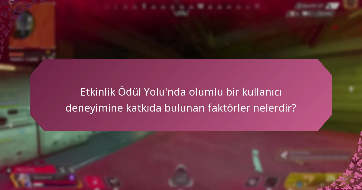 Etkinlik Ödül Yolu’nda olumlu bir kullanıcı deneyimine katkıda bulunan faktörler nelerdir?